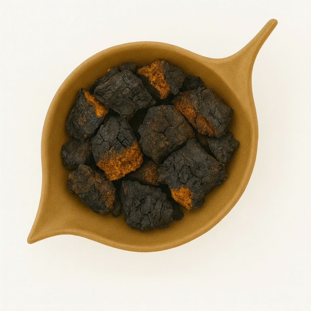 Chaga Mushroom