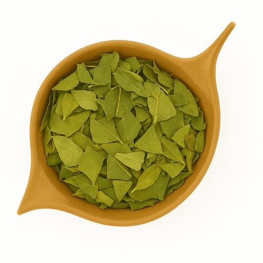 Ginko Leaf