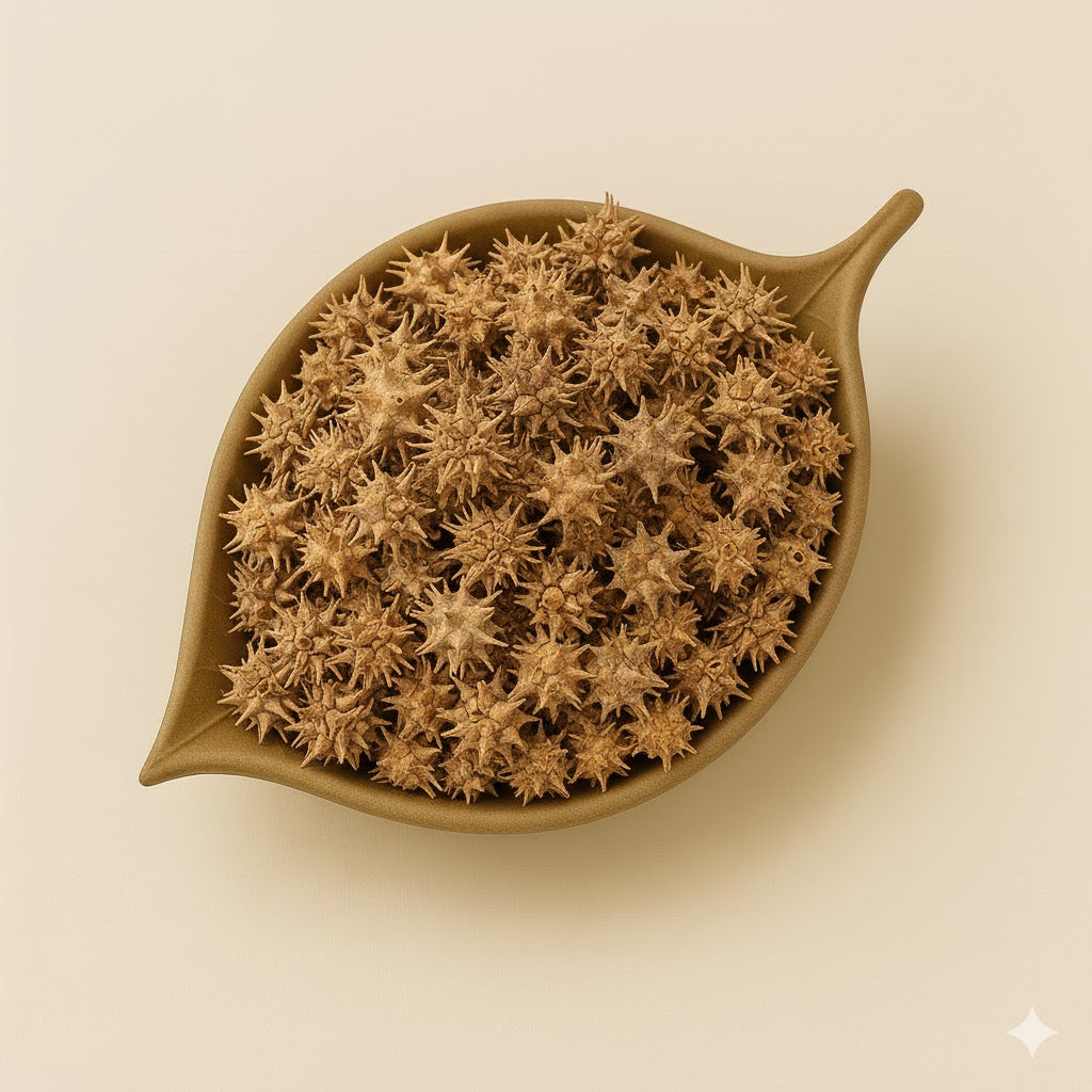 Tribulus terestris powder
